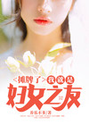 摊牌了,我就是妇女之友 小说