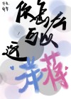 你怎么可以这洋蒋？