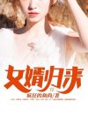 女婿归来