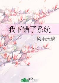 系统搞错了吧小说