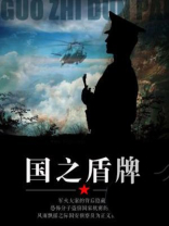 国之盾牌