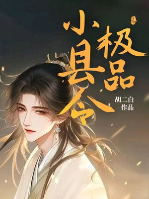 极品小县令