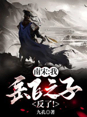 南宋:我,岳飞之子!反了! 九孔