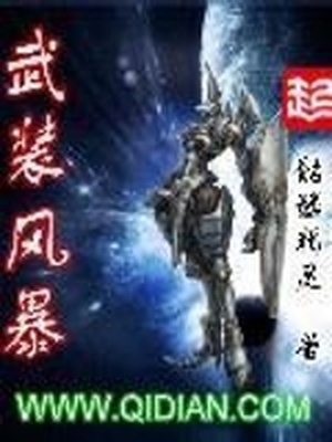 武装风暴小说免费阅读