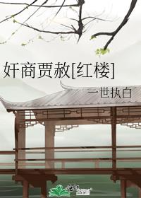 贾赦讨谁做小妾