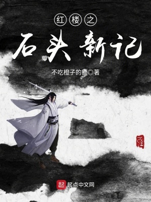 红楼梦石头记小说