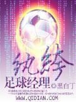 纨绔足球经理