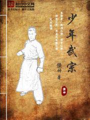 少年武宗,在京东多少钱才可以买到