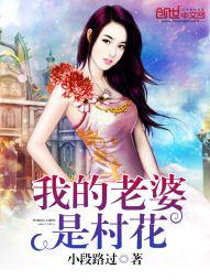 我的老婆是村支书涂磊