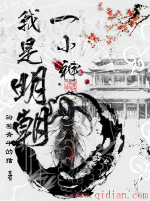 我是明朝一小神TXT下载