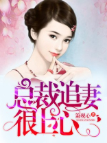  总裁追妻很上心 