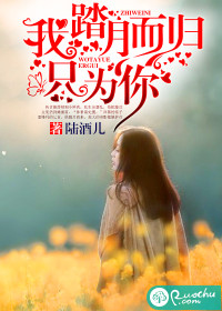 踏月为你而来什么意思