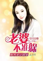 腹黑老公溺宠:老婆不准躲