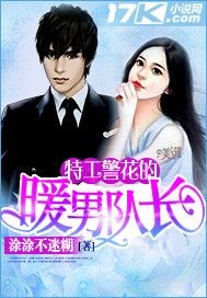 特工警花的暖男队长小说