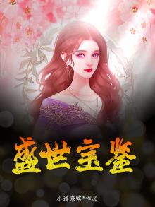 盛世宝鉴