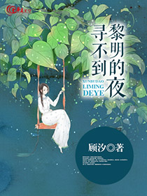 寻不到黎明的夜