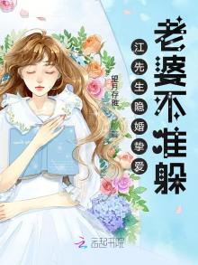 江先生隐婚挚爱:老婆不准躲
