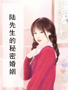 陆先生的秘密婚姻