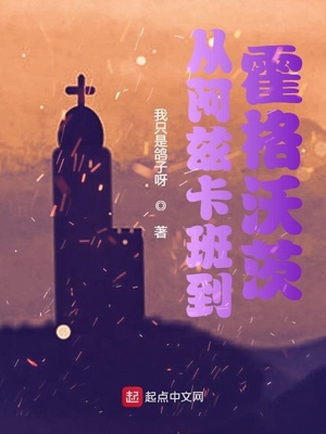 从阿兹卡班到霍格沃茨TXT百度网盘