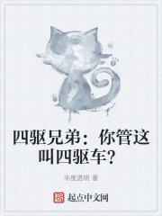 四驱兄弟:你管这叫四驱车?