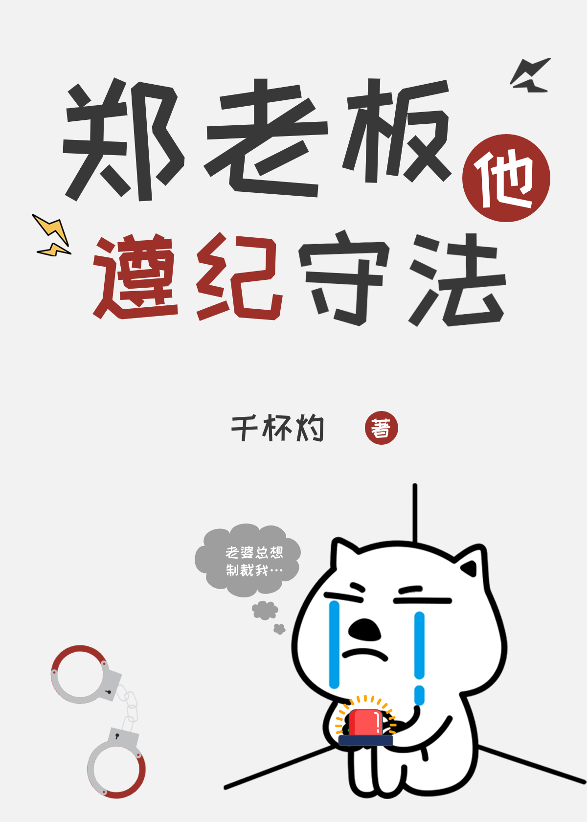 郑老板他遵纪守法免费阅读小说