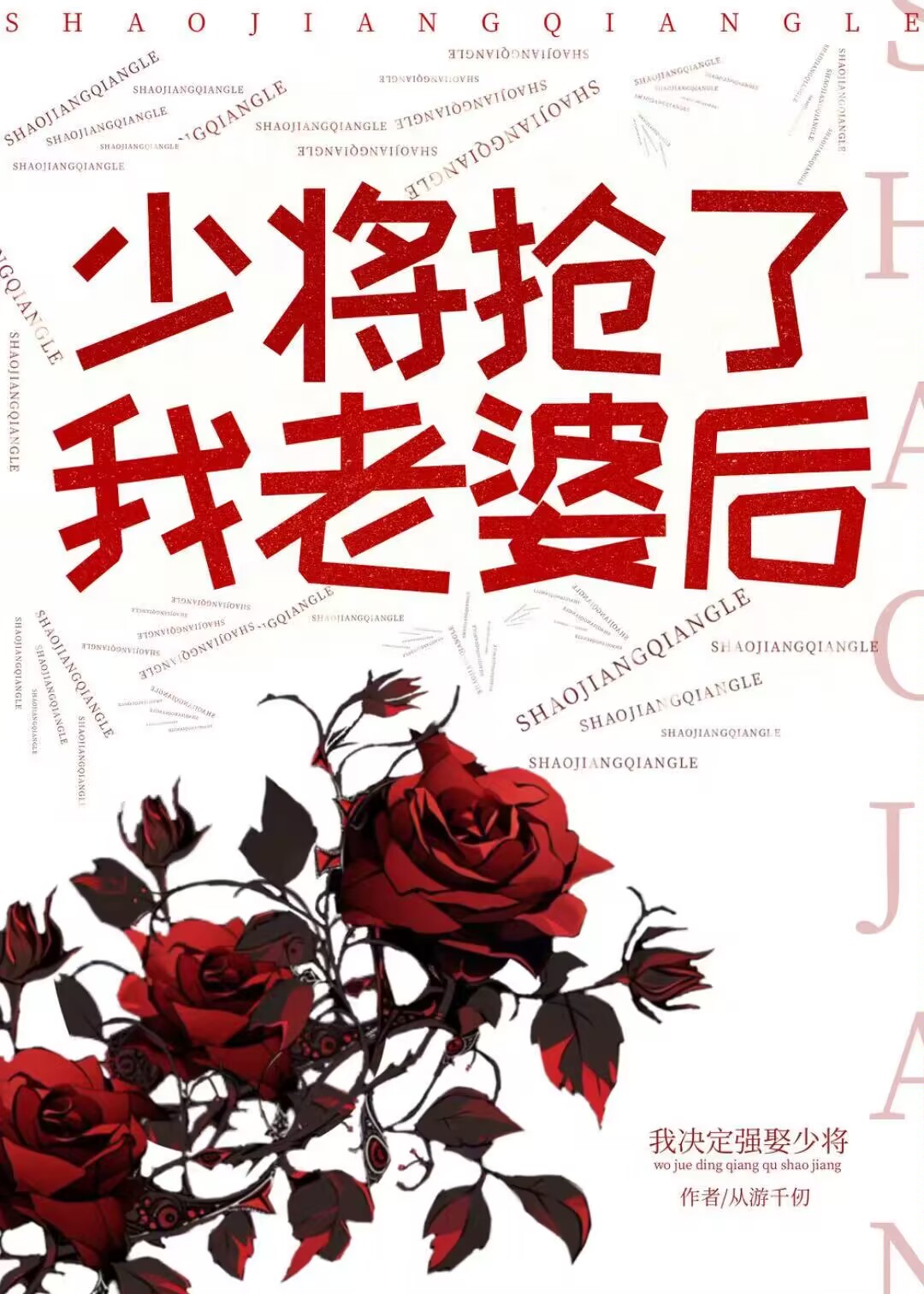 少将大人别惹我