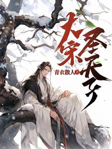 大宋天子小说