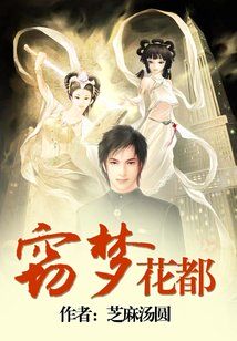 窃梦花都