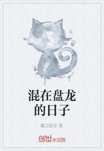 混在盘龙的日子
