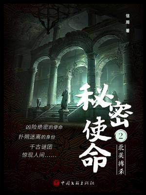 秘密使命 2：北美搏杀