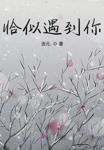 恰好遇见你的意思