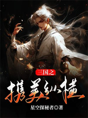 三国之携美纵横