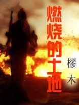 燃烧的土地