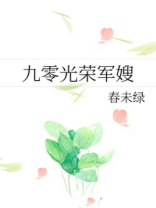 九零光荣军嫂