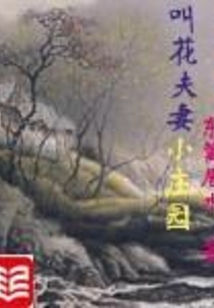 叫花夫妻小庄园讲的什么