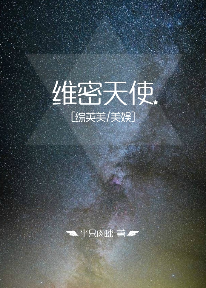 维密天使小说番外
