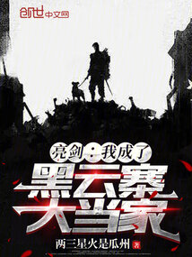 亮剑我成了黑云寨寨主