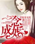 一念成婚：爷宠妻无度