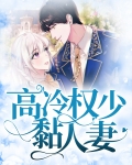 高冷权少黏人妻