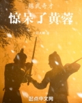 练武奇才,惊呆了黄蓉