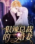 狠辣总裁的二婚妻