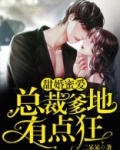 甜婚蜜爱：总裁爹地有点狂