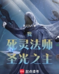 我，死灵法师，圣光之主