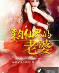 来自仙界的老婆