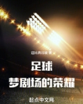 足球：梦剧场的荣耀