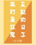 被盯妻狂魔支配的日子