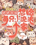 猫猫我啊想给每只小流浪一个家小说