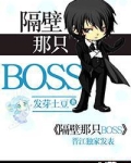 隔壁那只BOSS