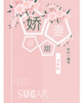 娇妻很甜