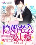秘密私宠：隐婚老公爱上瘾